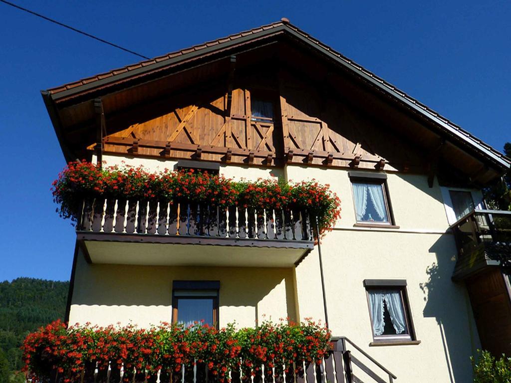 Appartement Haus Harter à Wolfach Extérieur photo