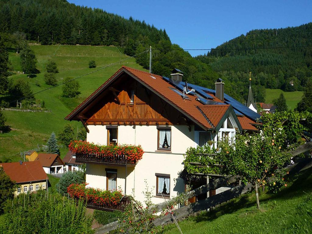 Appartement Haus Harter à Wolfach Extérieur photo